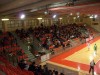Senigallia-Ferrara (pubblico)