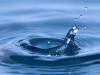 Acqua