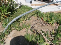 Uno dei pali di ferro piegati dal vento Uno dei pali di ferro piegati dal vento