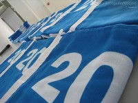 Le 16 bandiere Blu d'Europa consegnate ai comuni delle Marche