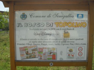 Il cartello del Bosco di Topolino a Senigallia