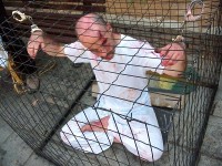 Scena di tortura