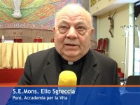 Elio Sgreccia