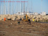 Pulizia dei detriti sulla spiaggia di Senigallia - Foto di Francesco Sestito