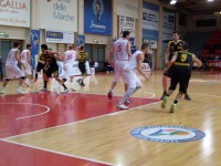 Goldengas-Dino Bigioni Montegranaro