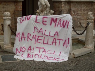 La protesta per i tagli alla spesa nelle scuole, Piazza Roma