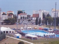 Pattinodromo di Senigallia