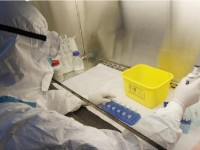 Aviaria: il virus H7N9 potrebbe mutare
