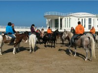 Cavalli "a passeggio" sulla Spiaggia di Velluto