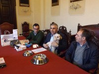 Senigallia dog-friendly con l'associazione Sguinzagliati