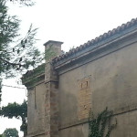 Il tetto su cui si trovava il richiamo illecito rinvenuto a Senigallia