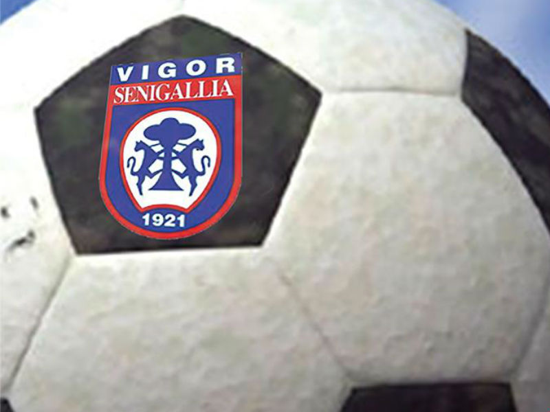 Calcio: Vigor Senigallia al completo contro l'Atletico Alma ... - Senigallia Notizie