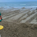 La spiaggia sul lungomare Da Vinci dopo i lavori di ripascimento e pulizia a causa della mareggiata del 16 giugno 2016