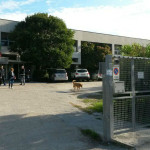 Scuola Le Nuvole Cesanella