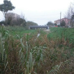 Il fosso della Giustizia a Senigallia, in parte ripulito dalla folta vegetazione