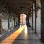 Una foto al giorno: Mauro Gasparini Una foto al giorno: Mauro Gasparini