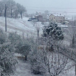 Neve ad Arcevia