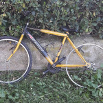 La bici abbandonata in zona Saline a Senigallia