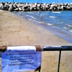 cartello e recinzione di protezione per il fenicottero visto a Senigallia