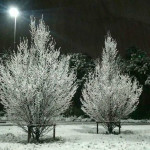 Neve su Senigalia - Foto da Instagram di rifu69_photo