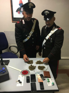 Marijuana sequestrata dai Carabinieri ai giardini Morandi di Senigallia