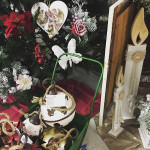 Idee regalo e composizioni per Natale al Vivaio Piantaviva di Senigallia