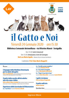 Convegno a Senigallia: "Il gatto e noi" - locandina