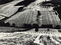 ©MarioGiacomelli - Metamorfosi della terra