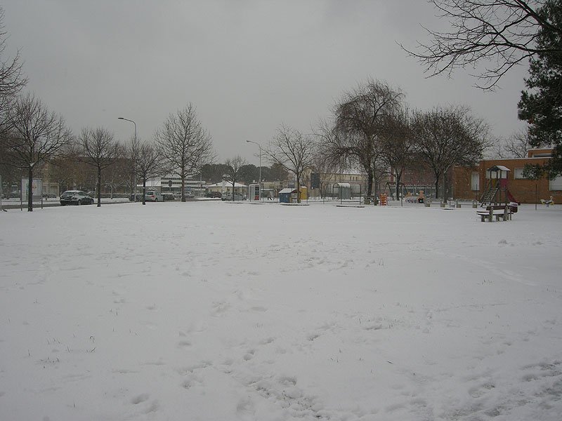 Neve a Cesanella, quartiere di Senigallia