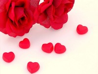 Offerte San Valentino 2012 Bed & Breakfast Senigallia