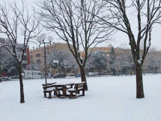 Neve al parco della Pace di Senigallia