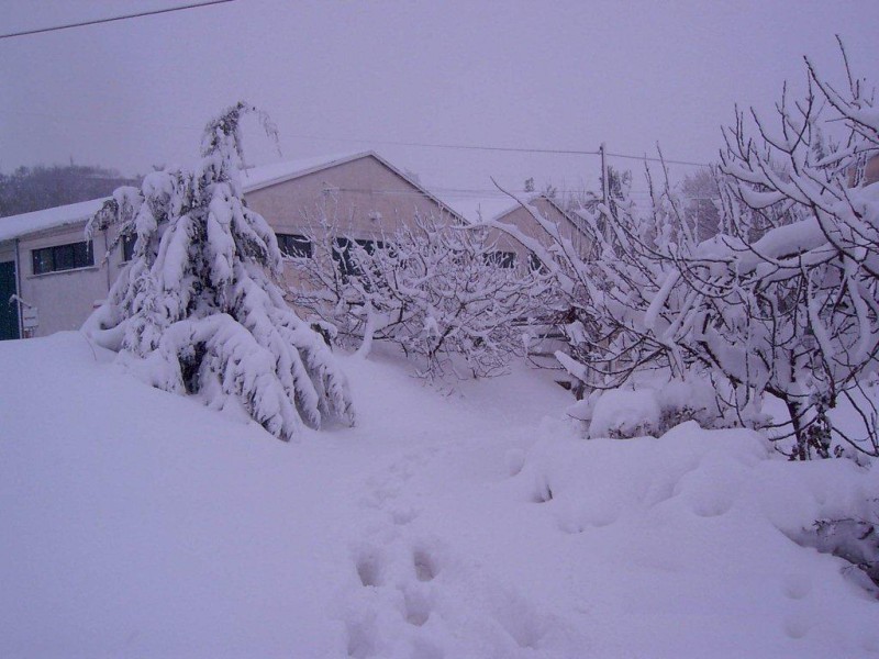 Neve nell'entroterra di Senigallia - foto di R. Benigni