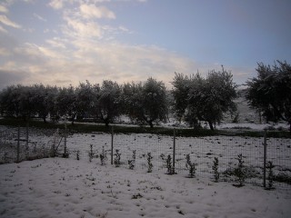 Montemarciano e la neve nella campagna
