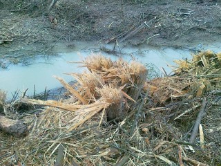 Fiume intasato da legname