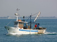 Peschereccio in azione