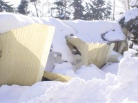 Danni per la neve caduta