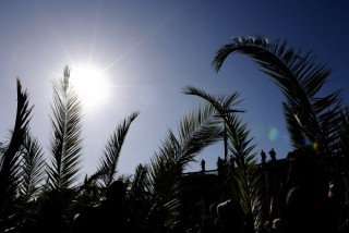 Domenica delle Palme