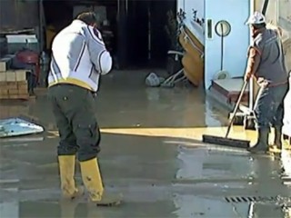 Esondazione del fiume Cesano, a Senigallia, imprese invase dall'acqua e dal fango