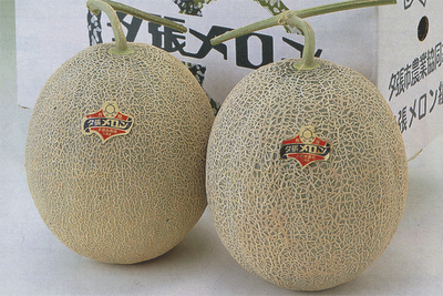 Meloni di Yubari