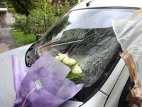 Fiori sul luogo della tragedia di via Cremona