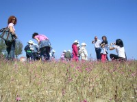 Escursione lungo il fiume Cesano