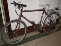 La refurtiva recuperata dai Carabinieri di Senigallia