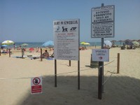 Il tratto di spiaggia di Senigallia diviso tra surfisti e bagnanti