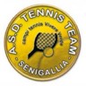 Tennis Team Senigallia