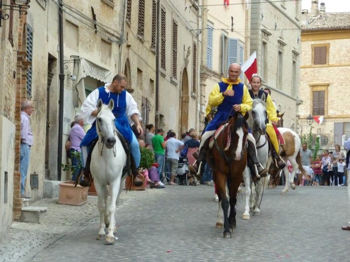 Corinaldo, contesa del Pozzo della Polenta 2012: cavalli