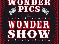 Locandina della mostra "Wonderpics" di Libero Api