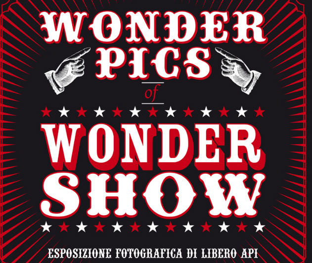 Locandina della mostra "Wonderpics" di Libero Api