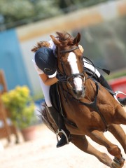 Bettina Durazzi su Waikiki of colors durante una gara