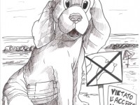 "Alla ricerca della felicità" di Massimo Nesti