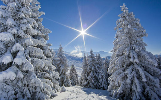 Paesaggio invernale con neve
